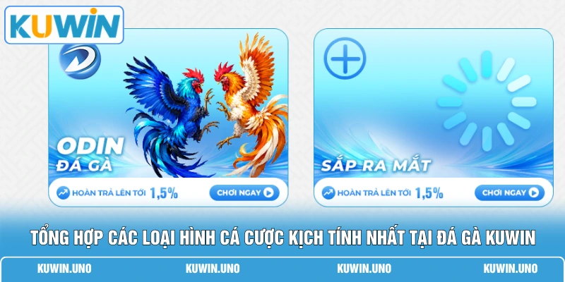 Đá Gà KUWIN 2 Tổng hợp các loại hình cá cược kịch tính nhất tại đá gà KUWIN