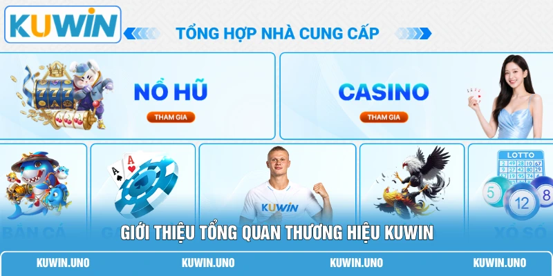 Home 9 Giới thiệu tổng quan thương hiệu KUWIN